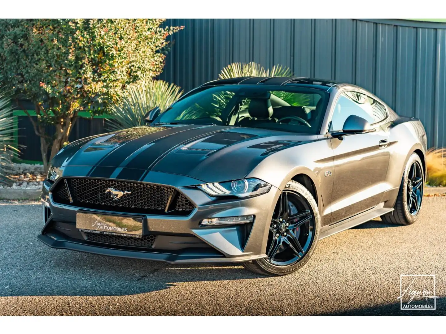 Ford Mustang Fastback GT 5.0L V8 450 BVA10 Gris - 1