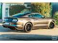 Ford Mustang Fastback GT 5.0L V8 450 BVA10 Gris - thumbnail 14
