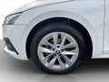 Skoda Octavia Combi 2.0 TDI DSG Ambition AHK*LED*NAV*SHZ*ACC*... Weiß - thumbnail 19