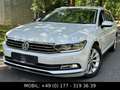 Volkswagen Passat Variant 2.0 TDI*Highline*BMT*R-LINE*LEDER Weiß - thumbnail 3