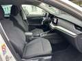 Skoda Octavia Style Weiß - thumbnail 18