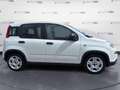 Fiat Panda Panda 1.0 70cv Hybrid Panda - thumbnail 4