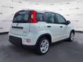 Fiat Panda Panda 1.0 70cv Hybrid Panda - thumbnail 5
