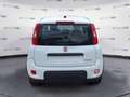 Fiat Panda Panda 1.0 70cv Hybrid Panda - thumbnail 6