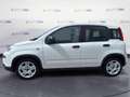 Fiat Panda Panda 1.0 70cv Hybrid Panda - thumbnail 8
