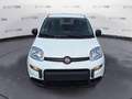 Fiat Panda Panda 1.0 70cv Hybrid Panda - thumbnail 2