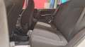 Fiat Panda Panda 1.0 70cv Hybrid Panda - thumbnail 10