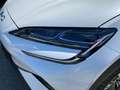 BYD Sealion 7 Excellence AWD Neuwagen * AKTION Weiß - thumbnail 15