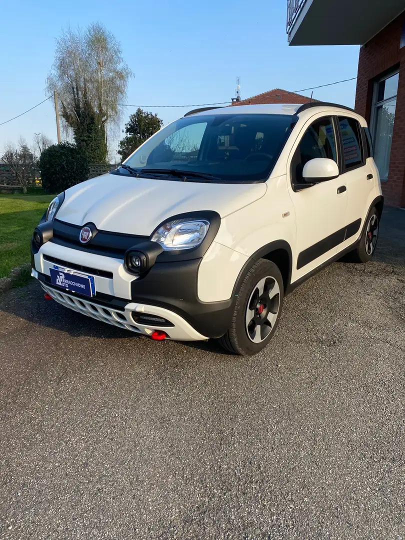 Fiat Panda Cross 1.0 FireFly S&S Hybrid Vert - 1