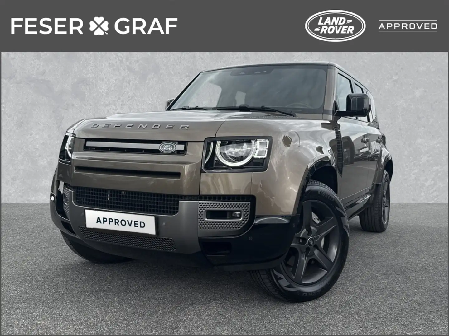 Land Rover Defender 110 D300 X-Dyn. SE HUD AHK Sperre Matrix Bruin - 1