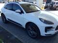 Porsche Macan Macan 2.0 245cv pdk TAGLIANDI PORSCHE TETTO RESTYL Bianco - thumbnail 6