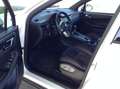 Porsche Macan Macan 2.0 245cv pdk TAGLIANDI PORSCHE TETTO RESTYL Bianco - thumbnail 5