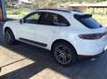 Porsche Macan Macan 2.0 245cv pdk TAGLIANDI PORSCHE TETTO RESTYL Bianco - thumbnail 2