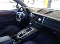 Porsche Macan Macan 2.0 245cv pdk TAGLIANDI PORSCHE TETTO RESTYL Bianco - thumbnail 15