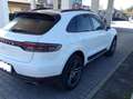 Porsche Macan Macan 2.0 245cv pdk TAGLIANDI PORSCHE TETTO RESTYL Bianco - thumbnail 4