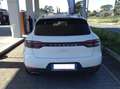 Porsche Macan Macan 2.0 245cv pdk TAGLIANDI PORSCHE TETTO RESTYL Bianco - thumbnail 3