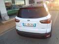 Ford EcoSport EcoSport 1.0 ecoboost Active Bianco - thumbnail 8