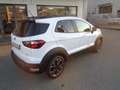 Ford EcoSport EcoSport 1.0 ecoboost Active Bianco - thumbnail 6