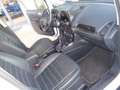 Ford EcoSport EcoSport 1.0 ecoboost Active Bianco - thumbnail 10