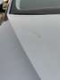 Skoda Superb 1.6 Automatic - Veel Opties Zilver - thumbnail 21