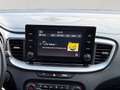 Kia XCeed Xceed 1,0 TGDI GPF Silber Silber - thumbnail 13