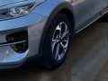 Kia XCeed Xceed 1,0 TGDI GPF Silber Silber - thumbnail 19