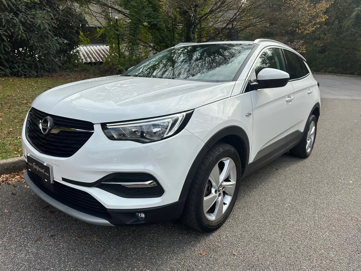 Opel Grandland X Grandland X 1.2 Advance s Bianco - 1