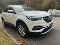Opel Grandland X Grandland X 1.2 Advance s Bianco - thumbnail 2