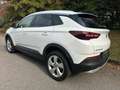 Opel Grandland X Grandland X 1.2 Advance s Bianco - thumbnail 5