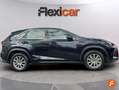 Lexus NX 300 300h Business Navigation 2WD Noir - thumbnail 9