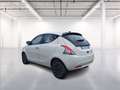 Lancia Ypsilon 1.0 firefly hybrid Platino s&s 70cv Wit - thumbnail 5