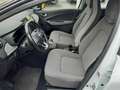 Renault ZOE (ohne Batterie) Z.E. 50 EXPERIENCE Blanc - thumbnail 18