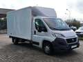 Fiat Ducato 2.3 MTJ CASSA ALLUMINIO Bianco - thumbnail 4