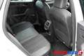 CUPRA Leon 1.5 HYBRID 150 CV DSG Bianco - thumbnail 6
