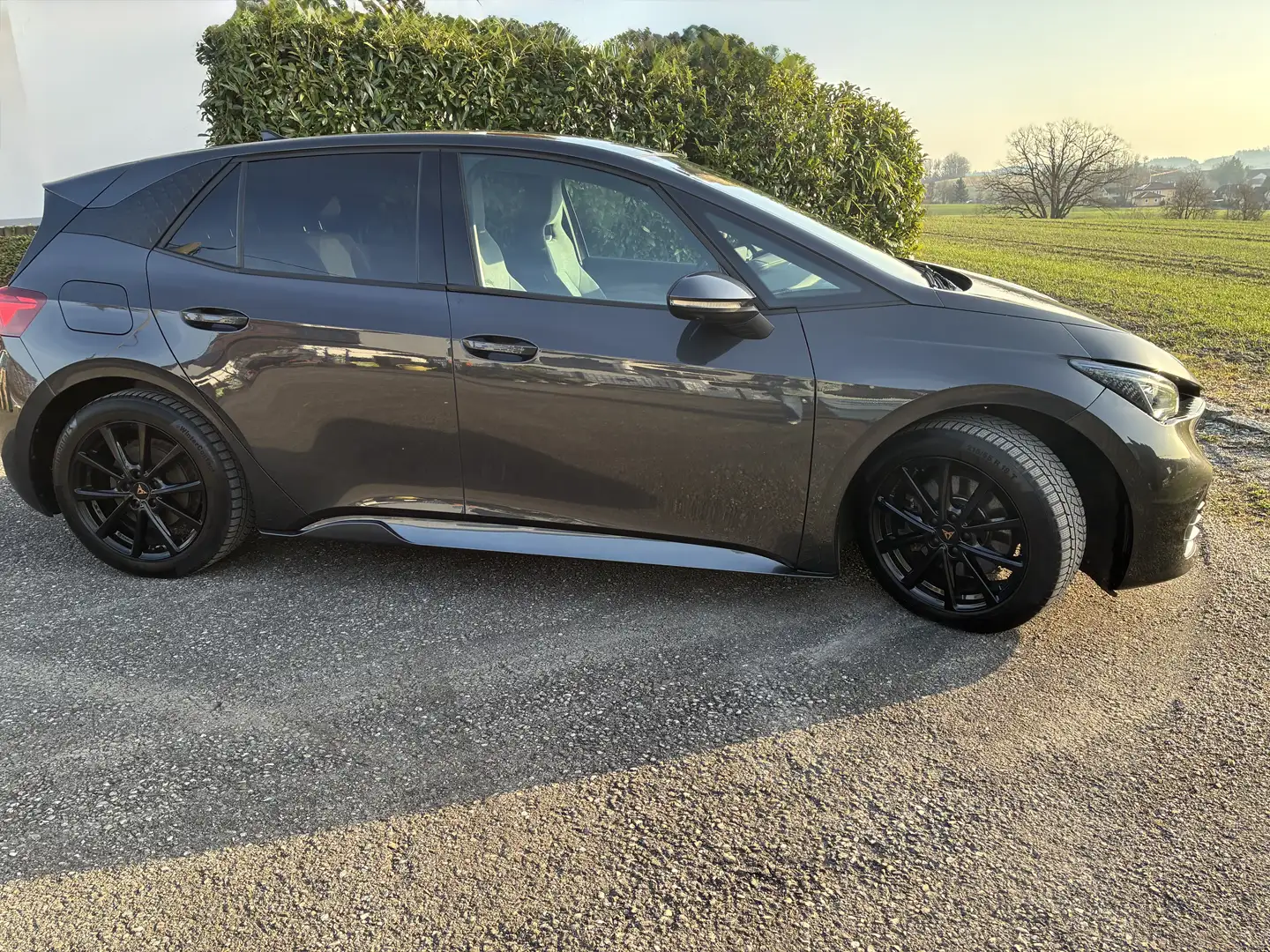 CUPRA Born Born 58kWh Grau - 1