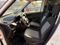 Fiat Doblo DOBLO CARGO CH1 BUSINESS 1.4 NAT. POWER 120CV E6D Blanco - thumbnail 10
