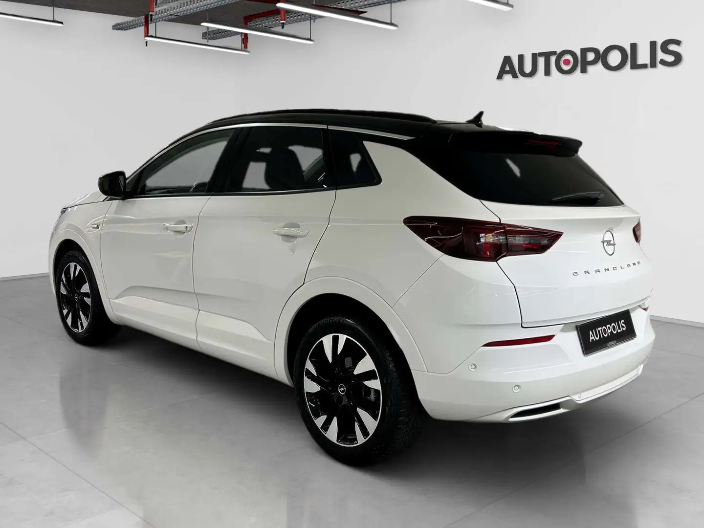 Opel Grandland 1.2 X Innovation Wit - 2