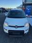 Fiat New Panda Panda III 2021 Cross 1.0 City Cross Weiß - thumbnail 15