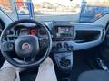 Fiat New Panda Panda III 2021 Cross 1.0 City Cross Weiß - thumbnail 11