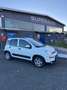 Fiat New Panda Panda III 2021 Cross 1.0 City Cross Weiß - thumbnail 7