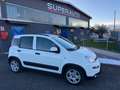 Fiat New Panda Panda III 2021 Cross 1.0 City Cross Weiß - thumbnail 3