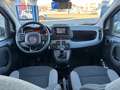 Fiat New Panda Panda III 2021 Cross 1.0 City Cross Weiß - thumbnail 5