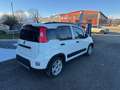 Fiat New Panda Panda III 2021 Cross 1.0 City Cross Weiß - thumbnail 2