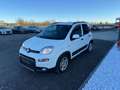 Fiat New Panda Panda III 2021 Cross 1.0 City Cross Weiß - thumbnail 1
