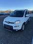 Fiat New Panda Panda III 2021 Cross 1.0 City Cross Weiß - thumbnail 8