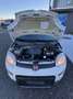 Fiat New Panda Panda III 2021 Cross 1.0 City Cross Weiß - thumbnail 18