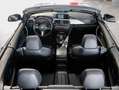 BMW 435 d xDrive Cabrio *BiXENON-KAMERA-H&K-MEMORY* Grau - thumbnail 7