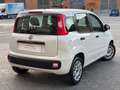 Fiat Panda PANDA 1.2 BENZINA LOUNGE 5 POSTI NEOPATENTATI Blanc - thumbnail 5