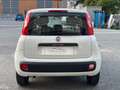 Fiat Panda PANDA 1.2 BENZINA LOUNGE 5 POSTI NEOPATENTATI Blanc - thumbnail 4