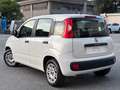 Fiat Panda PANDA 1.2 BENZINA LOUNGE 5 POSTI NEOPATENTATI Blanc - thumbnail 2